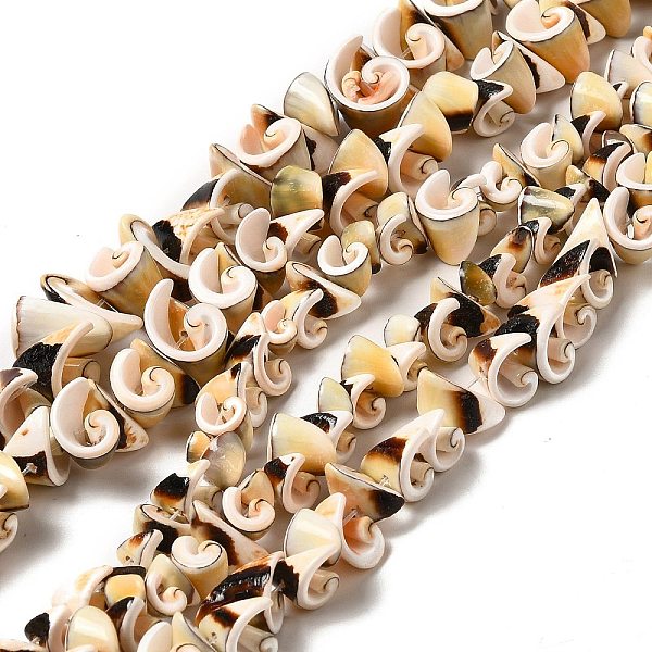 PandaHall Natural Sea Shell Beads Strands, Spiral Beads, Random Style, Light Khaki, 7~14.5x5~12.5x3.5~13mm, Hole: 1.2mm, about...
PandaHall Natural Sea Shell Beads Strands, Spiral Beads, Random Style, Light Khaki, 7~14.5x5~12.5x3.5~13mm, Hole: 1.2mm, about...