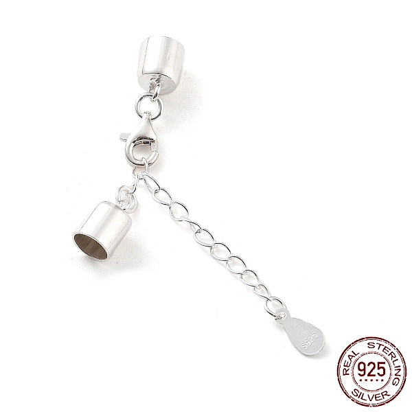 PandaHall 925 Sterling Silver Curb Chain Extender, End Chains with Lobster Claw Clasps and Cord Ends, Teardrop Chain Tabs, with S925 Stamp...
PandaHall 925 Sterling Silver Curb Chain Extender, End Chains with Lobster Claw Clasps and Cord Ends, Teardrop Chain Tabs, with S925 Stamp...