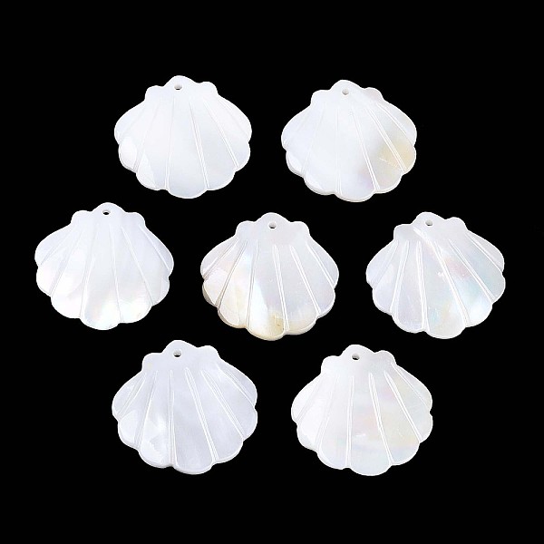 Natural Shell Carve… - image