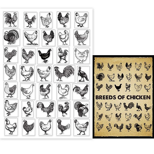 

PandaHall GLOBLELAND Farm Chicken Clear Stamps for Card Making Decorative Breed of Chicken Rooster Hen Transparent Silicone Stamps for DIY...