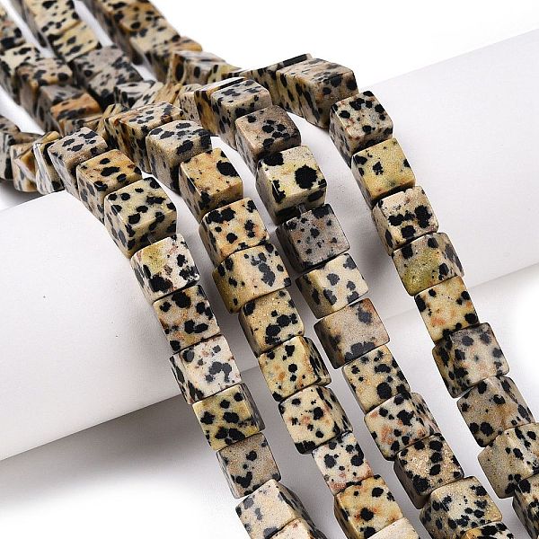 Natural Dalmatian J… - image
