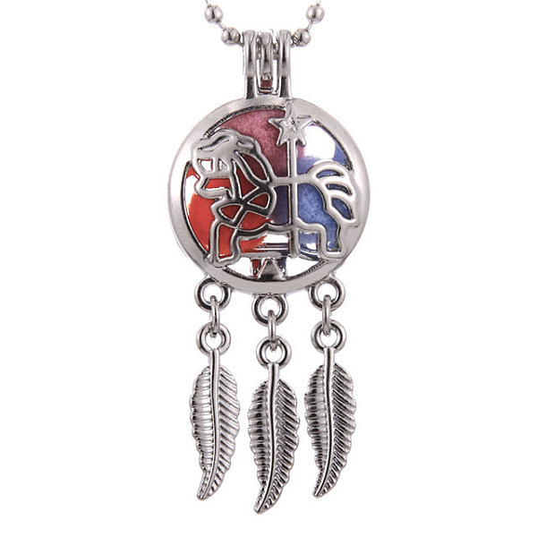

PandaHall Alloy Diffuser Locket Pendants, with Rocking Horse Pattern, Excluding Chain, Woven Net/Web with Feather, Platinum, 55x24mm Alloy...