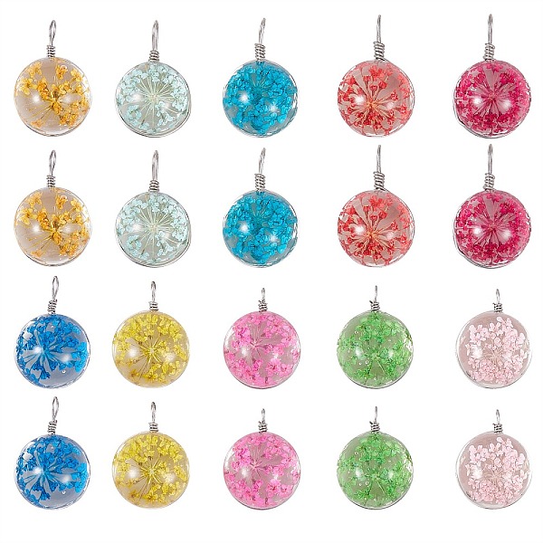 

PandaHall 20Pcs 10 Colors Transparent Glass Pendants, with Dried Flower inside and Stainless Steel Finding, Flat Round, Mixed Color..., Multicolor