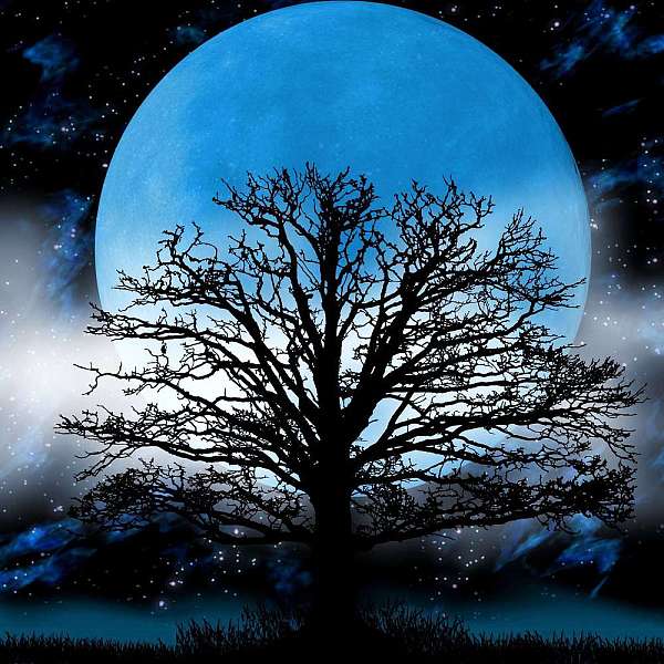 

PandaHall DIY Moon & Tree Pattern 5D Diamond Painting Kits, Including Waterproof Painting Canvas, Rhinestones, Diamond Sticky Pen, Plastic...