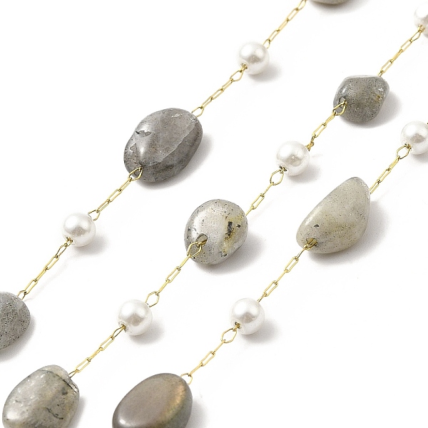

PandaHall Ion Plating(IP) 316 Surgical Stainless Steel Paperclip Chains, with Natural Labradorite Nuggets Beads and Glass Beads, Soldered...