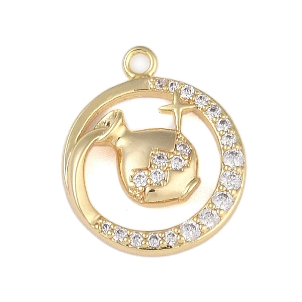 

PandaHall Brass Micro Pave Clear Cubic Zirconia Pendants, Twelve Constellations, Aquarius, 18x15x2.5mm, Hole: 1.5mm Brass+Cubic Zirconia...