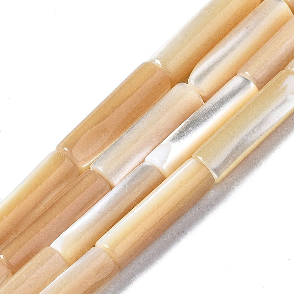 

PandaHall Natural Trochid Shell/Trochus Shell Beads Strands, Column, BurlyWood, 13x4mm, Hole: 0.7mm, about 30pcs/strand, 15.94 inch(40.5cm)..., Orange