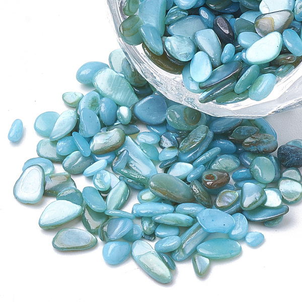 

PandaHall Shell Beads, No Hole Beads, Dyed, Chip, Sky Blue, 1~15x1~15x0.5~5mm, about 450g/bag Freshwater Shell Chip Blue