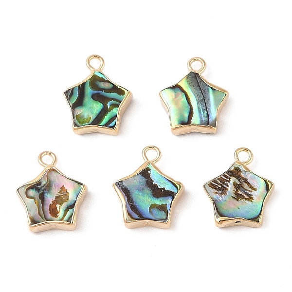 

PandaHall Natural Paua Shell Star Charms with Brass Edge, Golden, 15x12.5x4mm, Hole: 1.8mm Paua Shell Star