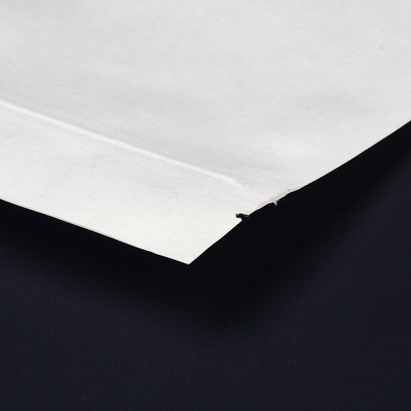 

PandaHall Eco-friendly PLA Biodegradable Packaging Bags, Rectangle, White, 22x15x0.27cm Plastic None White