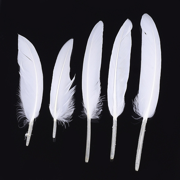 Goose Feather Costu… - image
