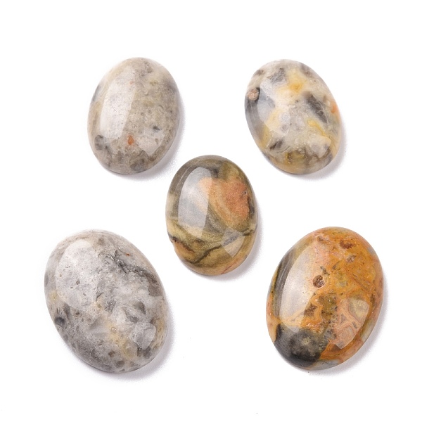 

PandaHall Natural Crazy Agate Cabochons, Oval, 25~30x15~22x6~8mm Crazy Agate Oval