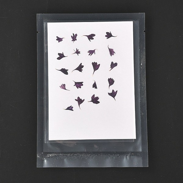 

PandaHall Cornflower Embossing Dry Flower, for Cellphone, Photo Frame, Scrapbooking DIY Handmade Craft, Purple, 9~18x5~13mm, 20pcs/bag Dried...