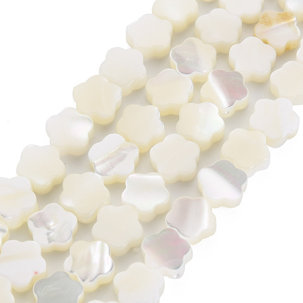 

PandaHall Natural Trochid Shell/Trochus Shell Beads Strands, Flower, White, 7.5x8x3mm, Hole: 0.8mm, about 50pcs/strand, 15.35 inch~15.75...