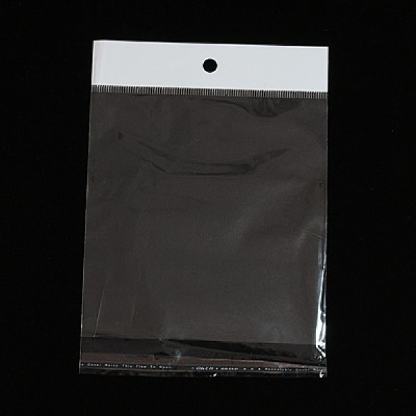 

PandaHall Cellophane Bags, White, 27x13cm, Unilateral Thickness: 0.03mm, Inner Measure: 23.1x13cm, Hole: 8mm OPP Cellophane White