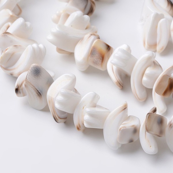 

PandaHall Natural Tiger Cowrie Shell Beads Strands, Seashell Color, 8~10x8~22x5~8mm, Hole: 1mm, about 64pcs/strand, 15 inch Tiger Cowrie...