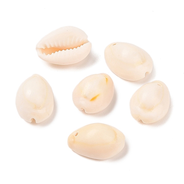 Cowrie Shell Pendan… - image