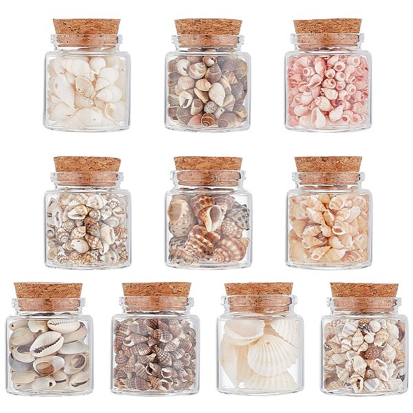 

PandaHall 10Pcs Natural Sea Shell Conch Bead & Transparent Glass Bottle Display Decorations, Mixed Color, 58x47mm, 10pcs/set Shell Bottle..., Multicolor