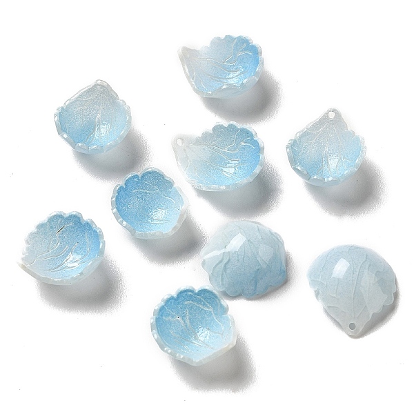 Acrylic Charms - image