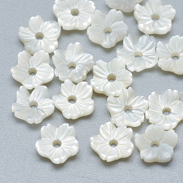 Natural White Shell… - image