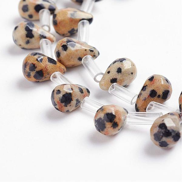 PandaHall Natural Dalmatian Jasper Beads Strands, Top Drilled Beads, Teardrop, Faceted, 9x6mm, Hole: 1mm, about 38~44pcs/strand, 16.1...