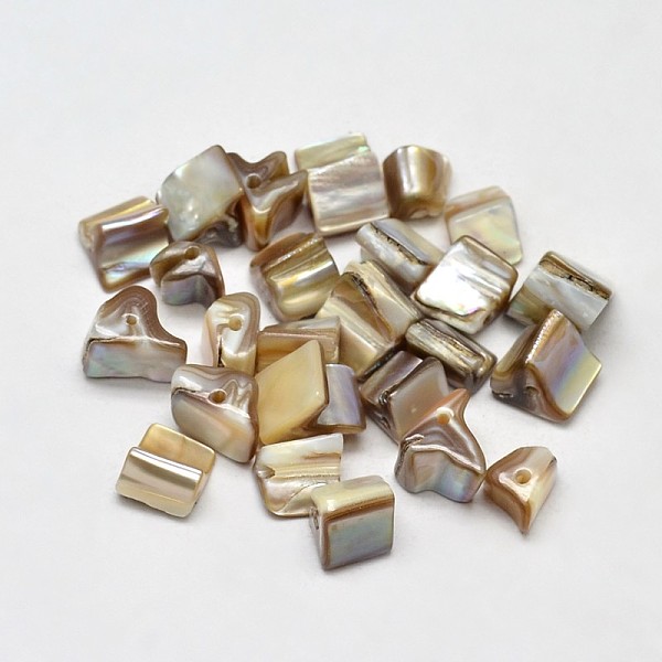 

PandaHall Dyed Natural Freshwater Shell Chip Beads, Dark Khaki, 8~15x7~8mm, Hole: 1mm, about 750pcs/500g Freshwater Shell Chip Yellow