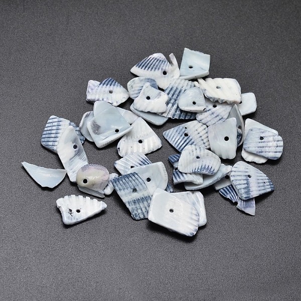 

PandaHall Natural Shell Nuggets Chips Beads, Aqua, 12~19x8~16x1~2mm, Hole: 1mm, about 800pcs/500g Other Sea Shell Chip Cyan