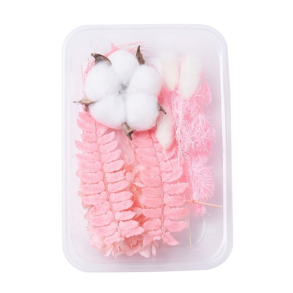 PandaHall Dried Flowers, DIY Candle Soap Making Accessories, with Plastic Rectangle Box, Pink, 7.4~15x1.2~8cm Dried Flower Pink