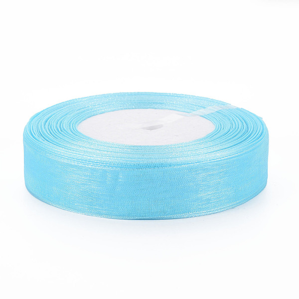

PandaHall Sheer Organza Ribbon, Wide Ribbon for Wedding Decorative, Sky Blue, 3/4 inch(20mm), 25yards(22.86m) Polyester None Cyan