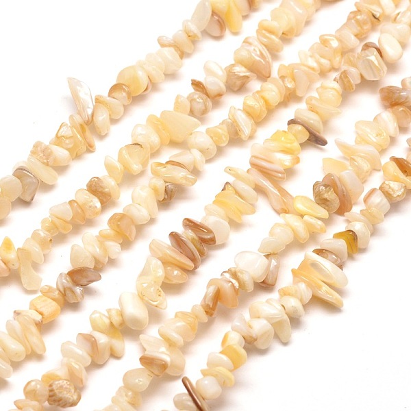 

PandaHall Natural Freshwater Shell Chip Bead Strands, Shell Shards, 5~8x5~8mm, Hole: 1mm, about 31.5 inch Freshwater Shell Chip Orange