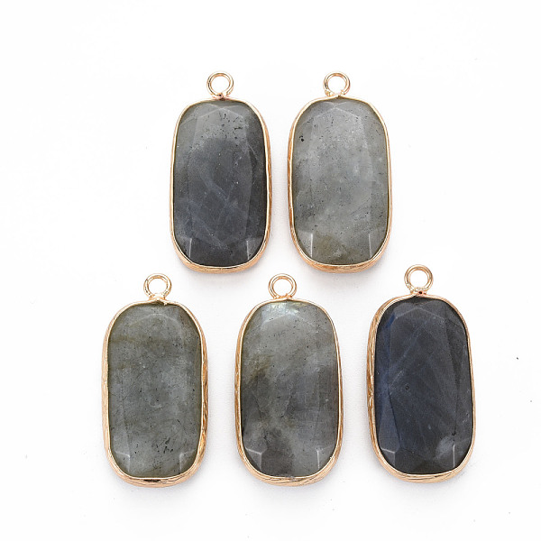 

PandaHall Natural Labradorite Pendants, with Golden Plated Brass Edge and Loop, Rectangle, 31.5x15x6~7mm, Hole: 2.5mm Labradorite Rectangle