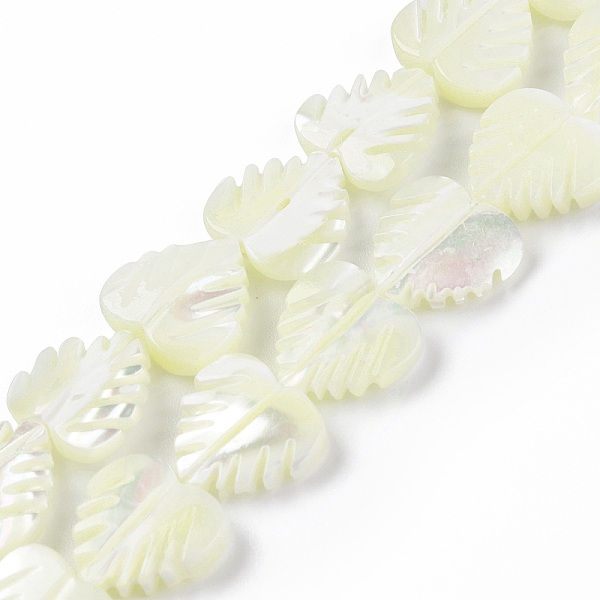 

PandaHall Natural Trochid Shell/Trochus Shell Beads, Heart Shaped Leaf, Seashell Color, 12.5x13x3~3.5mm, Hole: 0.5mm, about 33pcs/strand...
