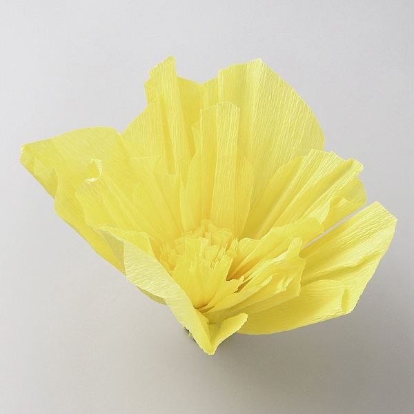 Crepe Paper Flowers Decoration for Wall