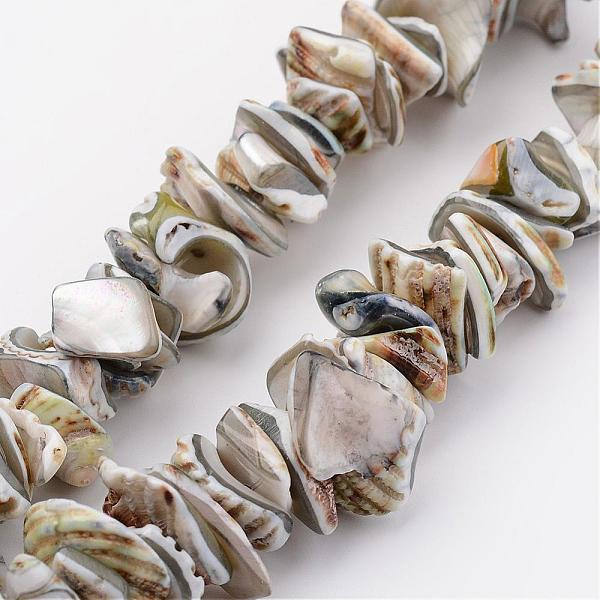 

PandaHall Natural Shell Bead Strands, Dyed, Nuggets, Light Grey, 10~20x8~12x3~6mm, Hole: 1mm, about 15.7 inch Other Sea Shell Nuggets Gray
