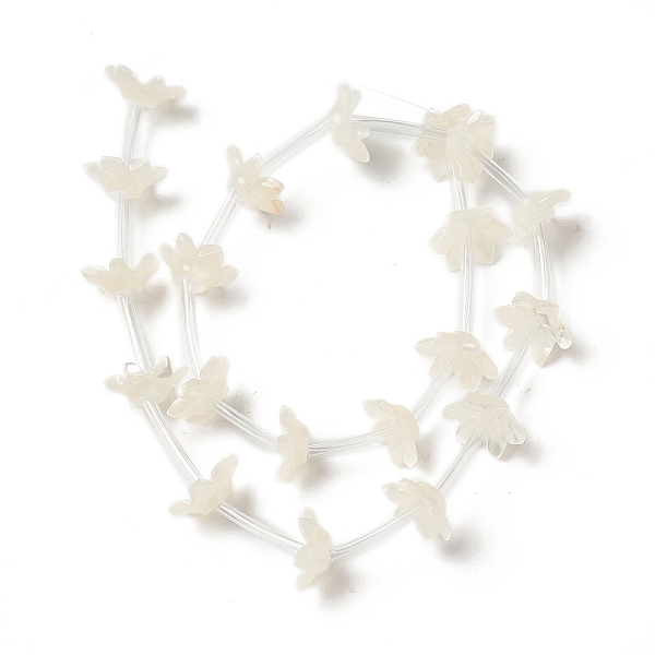 

PandaHall Natural White Shell Bead Caps, 6-Petal, Flower, Creamy White, 10x9x3.5mm, Hole: 1mm White Shell