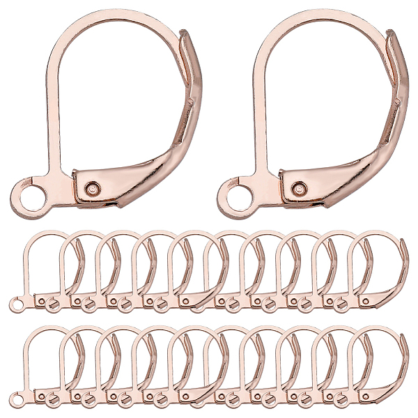 

PandaHall SUNNYCLUE 1 Box 60Pcs Leverback Earring Findings Rose Gold Stainless Steel Earring Hooks Lever Back Ear Wires Leverbacks French...