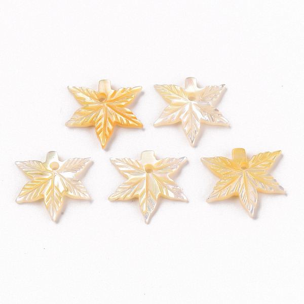 

PandaHall Natural Yellow Shell Charms, Maple Leaf, 14x15.5x2mm, Hole: 1.2mm Yellow Shell Leaf
