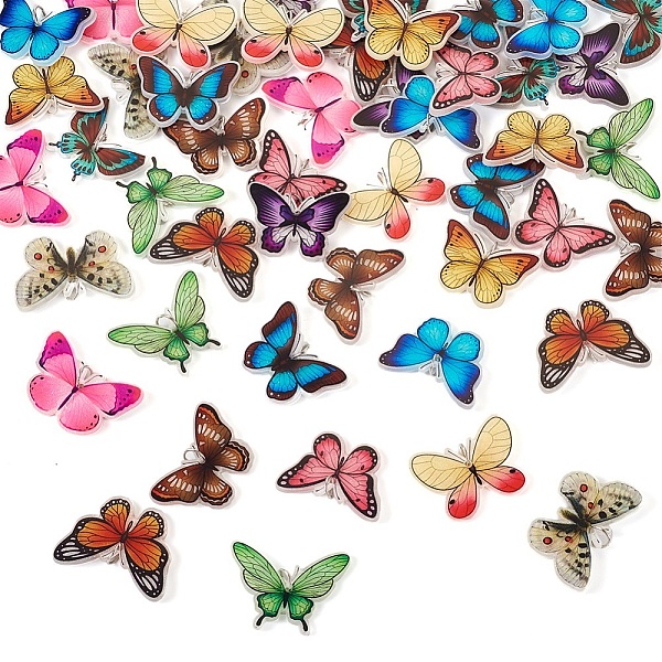 

PandaHall DIY Butterfly Earring Making Kit, Including Acrylic Pendants, Brass Earring Hook & Jump Rings, Mixed Color, 6~26.8x6~37x0.8~4mm..., Multicolor