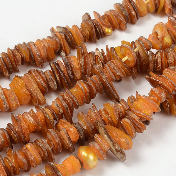 

PandaHall Natural Shell Beads Strands, Chips, Dyed, Orange, about 6~15mm, 1~5mm thick, hole: 1mm, about 190pcs/strand, 15 inch Freshwater...
