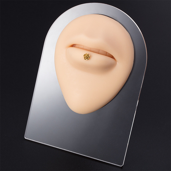 

PandaHall Soft Silicone Mouth Flexible Model Body Navel Displays with Acrylic Stands, Jewelry Display Teaching Tools for Piercing Suture..., Brown