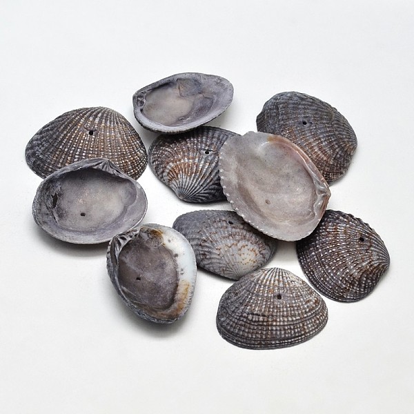 

PandaHall Dyed Natural Shell Beads, Black, 32~37x20~29x8~10mm, Hole: 1mm, about 30~40pcs/box Other Sea Shell Shell Shape Black
