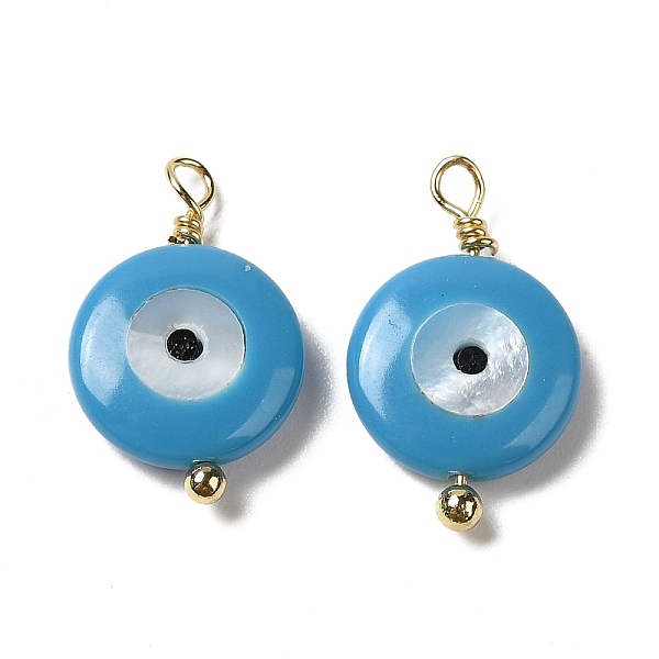 

PandaHall Glass & Shell Pendants, with Real 18K Gold Plated Brass Loop, Evil Eye Charm, Deep Sky Blue, 16.5~17x10x3mm, Hole: 1.2~1.4mm...