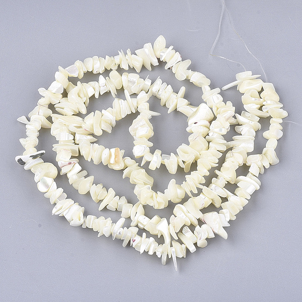 

PandaHall Natural Trochid Shell/Trochus Shell Beads Strands, Chip, Seashell Color, 5~25x4~12x1.5~8mm, Hole: 0.8~0.8mm, about...