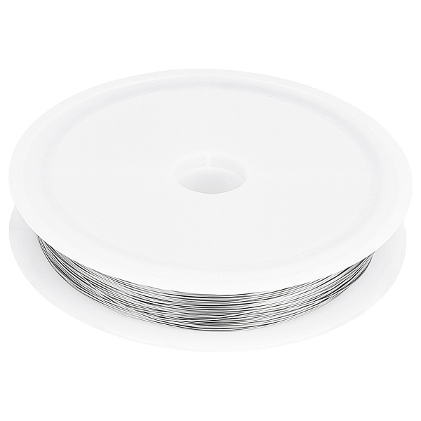 

PandaHall Beebeecraft 0.3mm 28 Gauge Stainless Steel Wire 304 Stainless Steel 50M Round Craft Jewelry Wire with 1Pc Bobbin for Wire Wrap DIY...