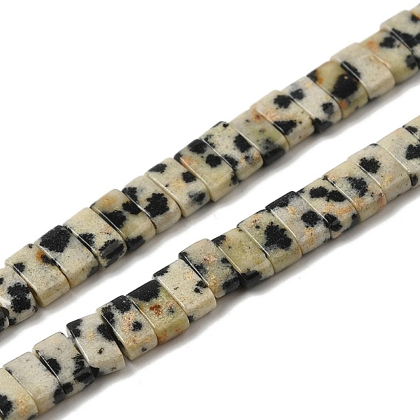 

PandaHall Natural Dalmatian Jasper Beads Strands, 2-Hole, Rectangle, 2.5~3x5x2.5mm, Hole: 0.8mm, about 138~140pcs/strand, 15.28''~15.31''...