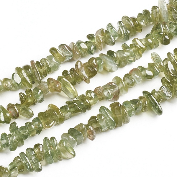 

PandaHall Natural Green Apatite Chips Beads Strands, 2.5~6x4.5~10.5mm, Hole: 0.8~1mm, about 33.86 inch(86cm) Apatite Chip Green