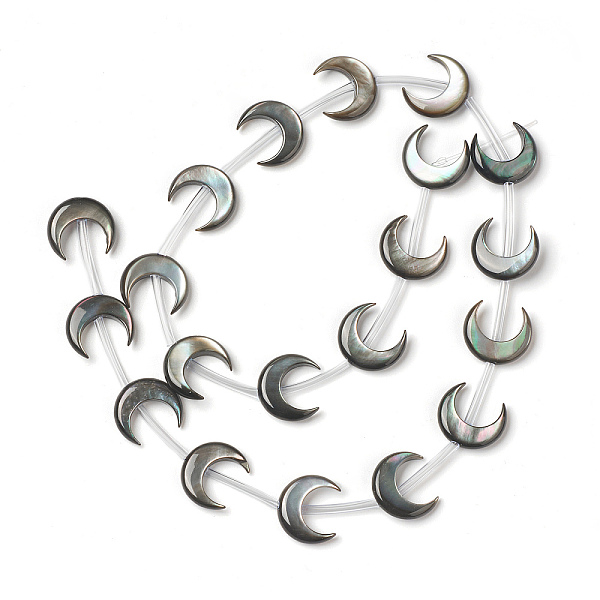

PandaHall Natural Black Shell Beads, Horn, Black, 12x10.5x3mm, Hole: 0.8mm, about 20pcs/strand, 12.99''(33cm) Black Lip Shell Horn Black