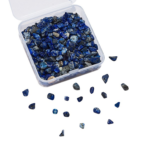 

PandaHall Natural Lapis Lazuli Chip Beads, 5x5mm, Hole: 1mm Lapis Lazuli Chip