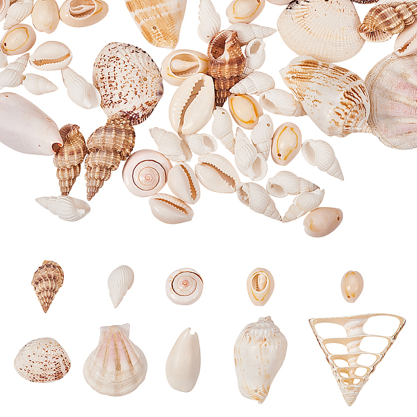 PandaHall Mixed Shell Beads, Mixed Color Other Sea Shell Shell Shape Multicolor