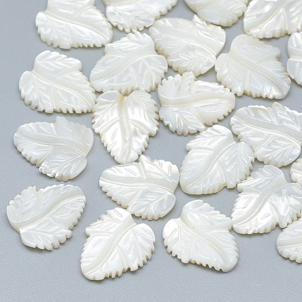

PandaHall Natural White Shell Mother of Pearl Shell Cabochons, Leaf, 13~14x10~12x2~3mm White Shell Leaf